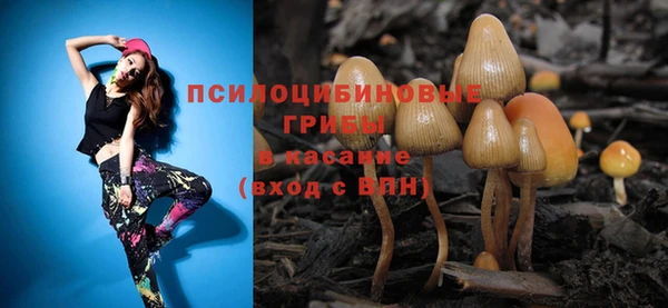 PSILOCYBIN Белокуриха